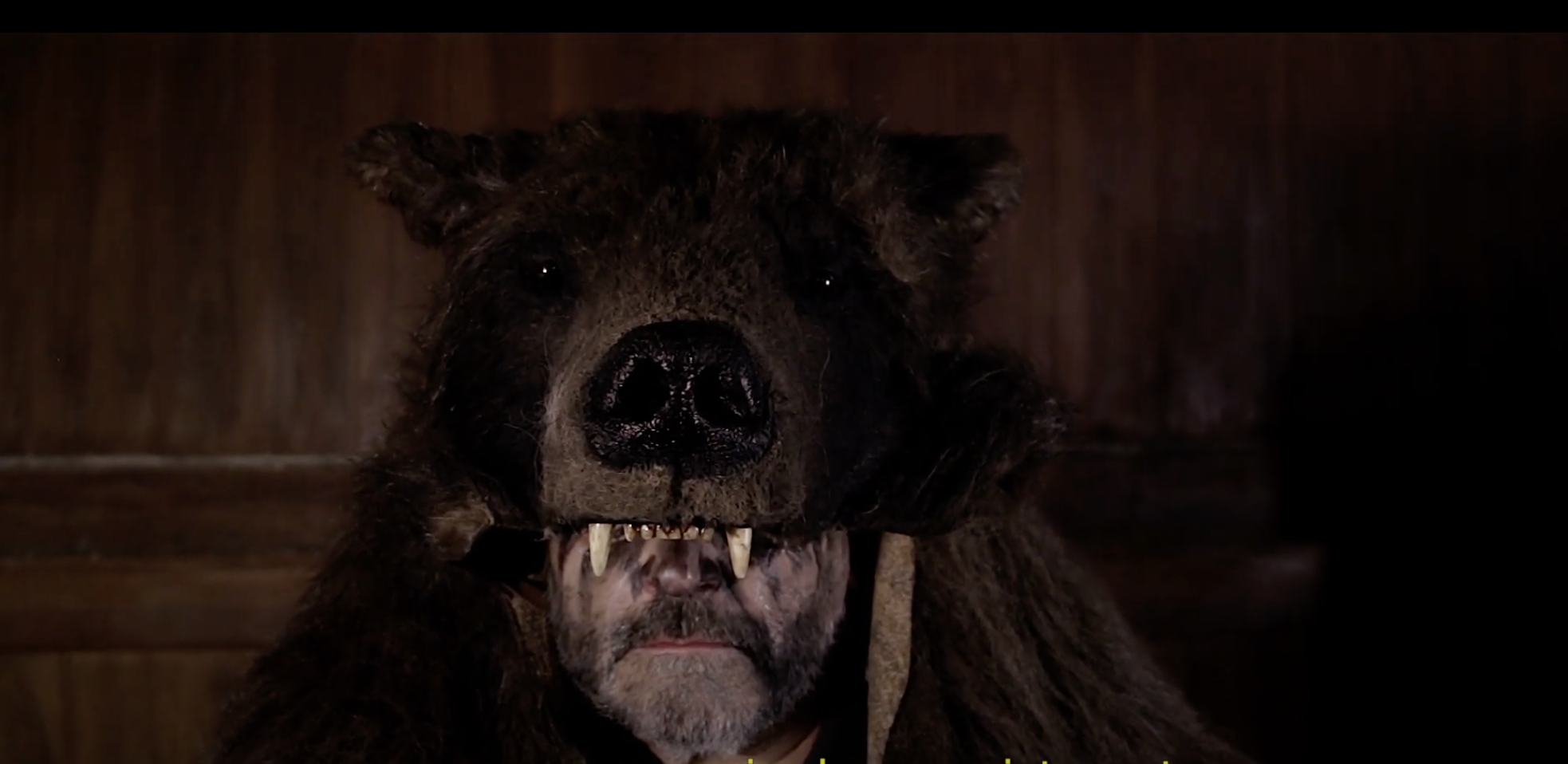 Disfressa de pell d’ós